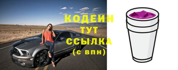 прущий лед Пересвет