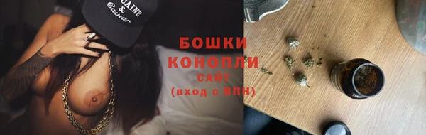 прущий лед Пересвет