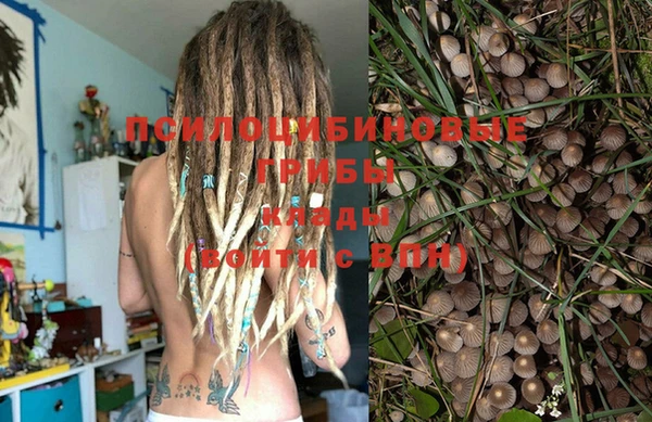 прущий лед Пересвет
