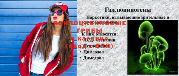 прущий лед Пересвет