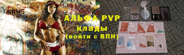 прущий лед Пересвет