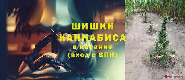 прущий лед Пересвет